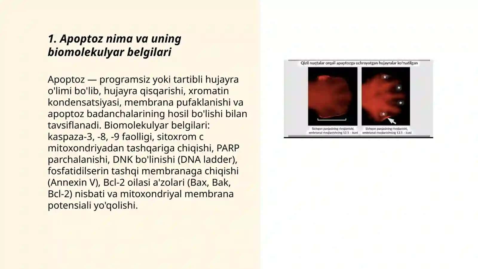 Apoptoz "ulish signali "ekanligi to'g'risida. Apoptoz stemulyatorlari va ingibiri 3