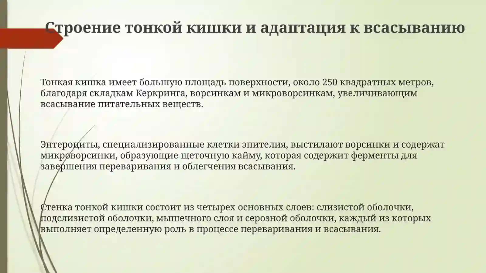 Механизмы всасывания в каторь питательных веществ (белков, жиров, углеводов, минеральных солей) 3