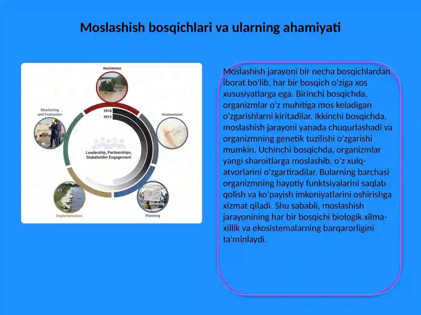Organizmning moslashishi va uning bosqichlari 3