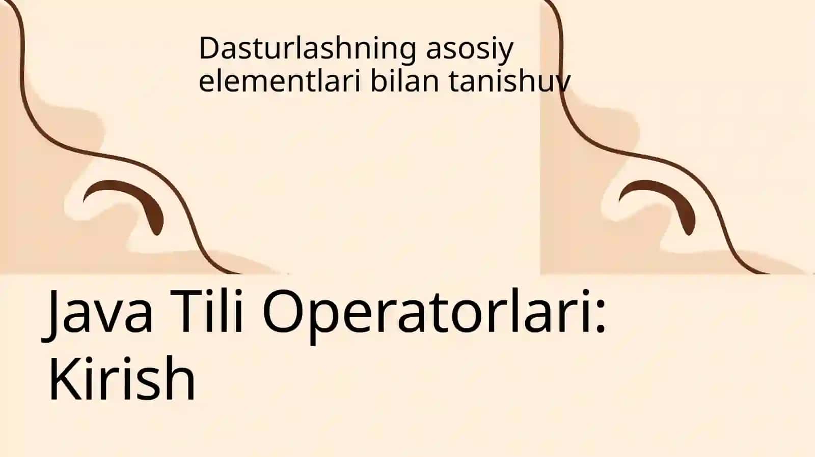 Java tili operatorlari mavzusida tayyor taqdimoti slaydi. 3