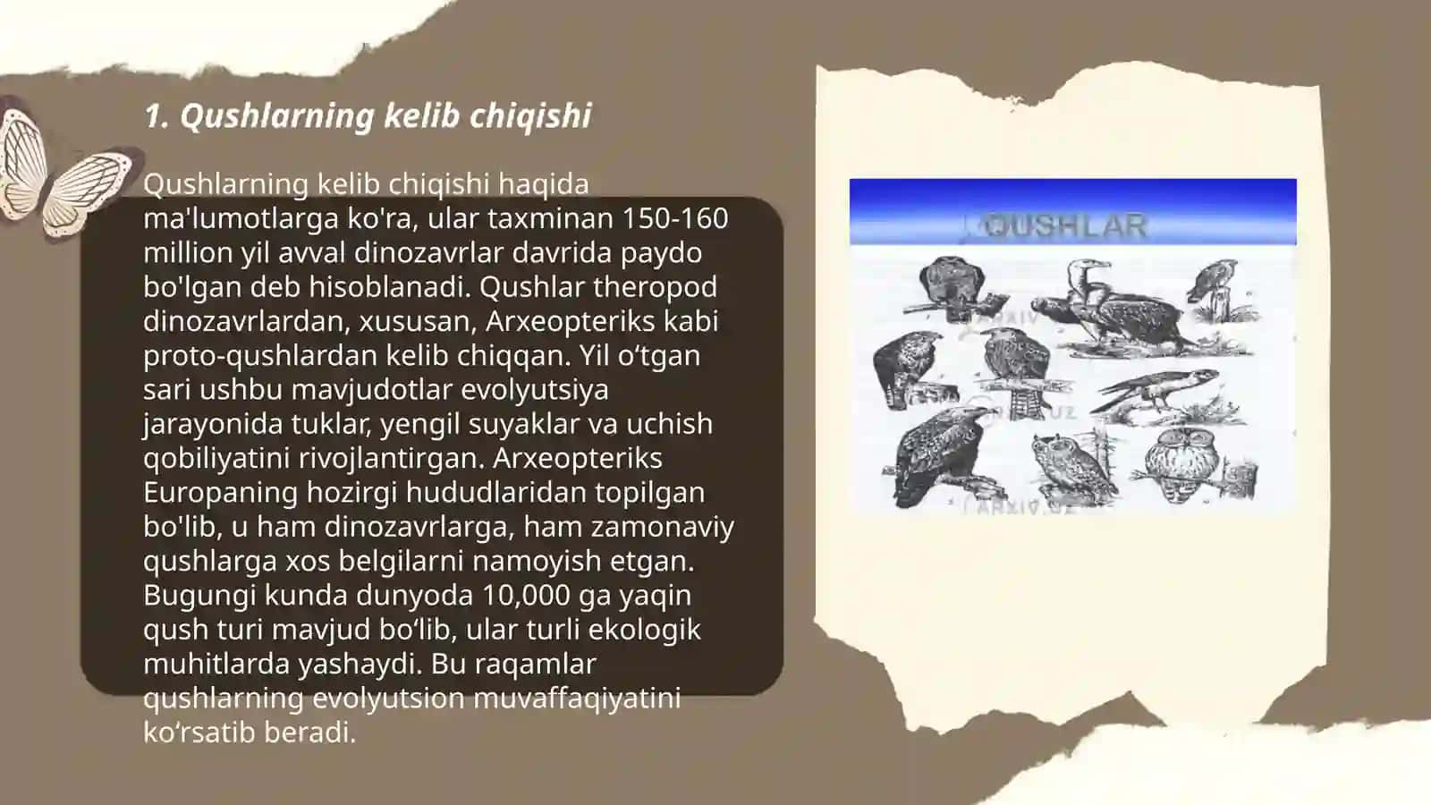 Qushlarning kelib chiqishi va evolutsiyasi 3