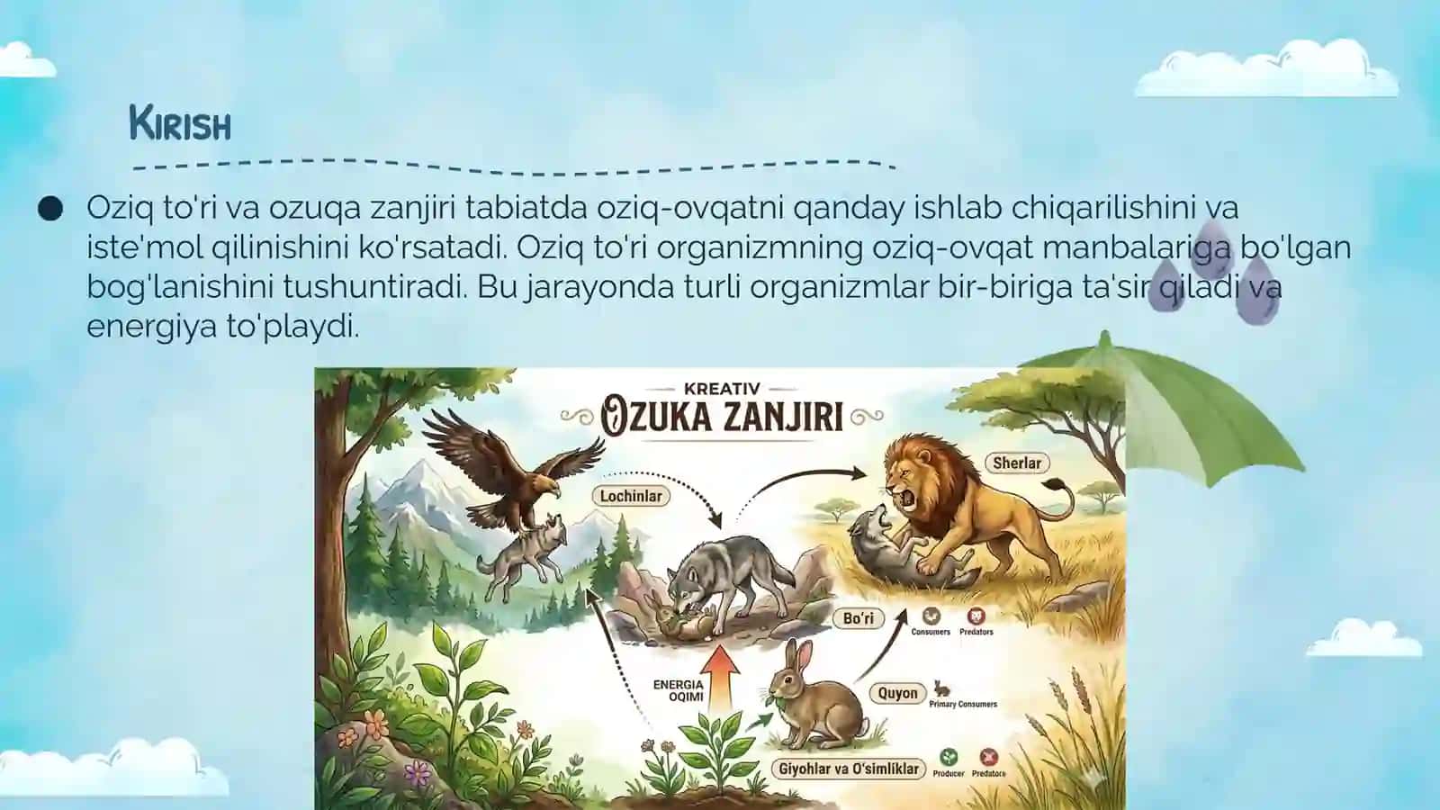 Oziq to'ri va ozuqa zanjiri 3