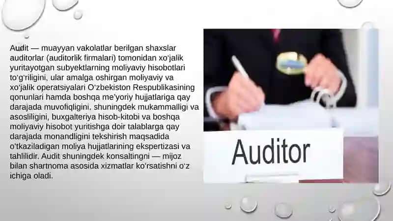 Auditorlik faoliyatining moliyaviy vahuqi tabiati 3