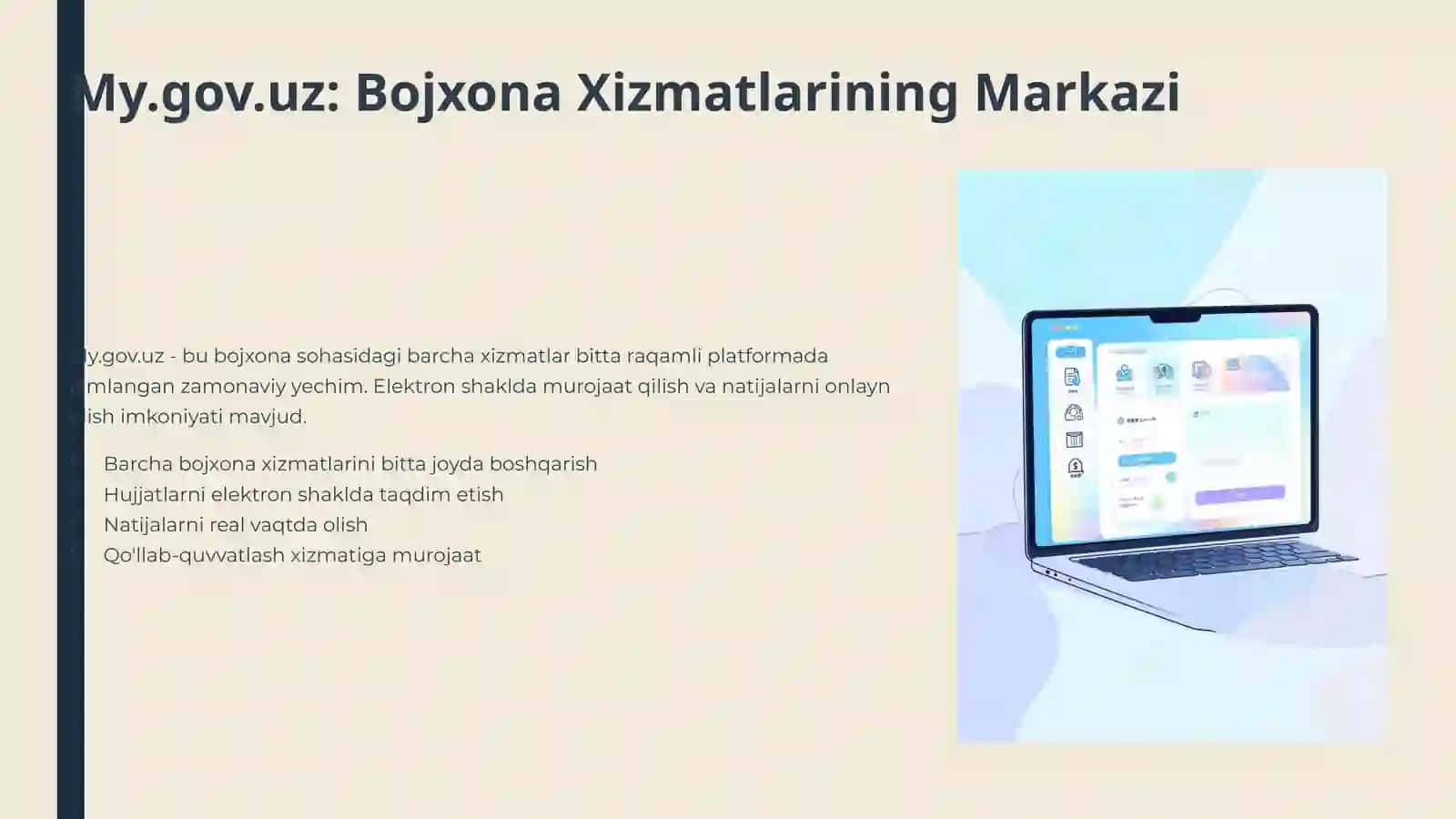 BojxonaMy.gov 3