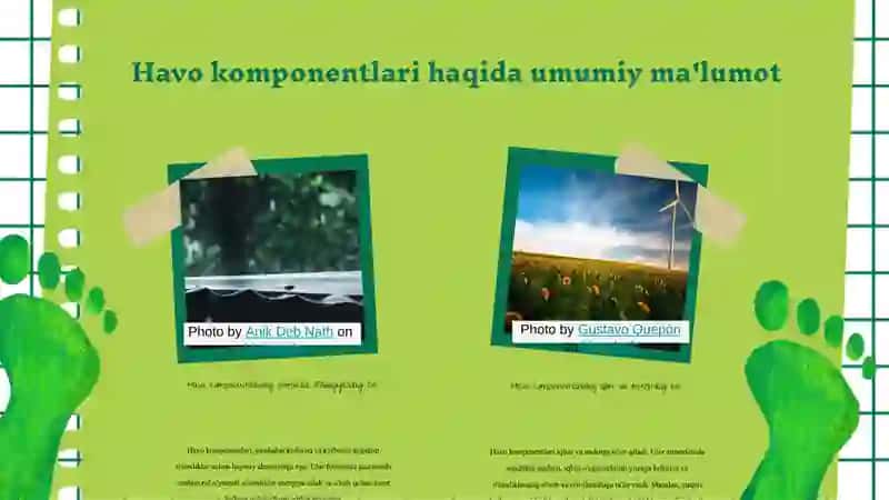 Atmosferaning havo komponentlarining o'simliklar fiziologik jarayonlarga ta'siri 3