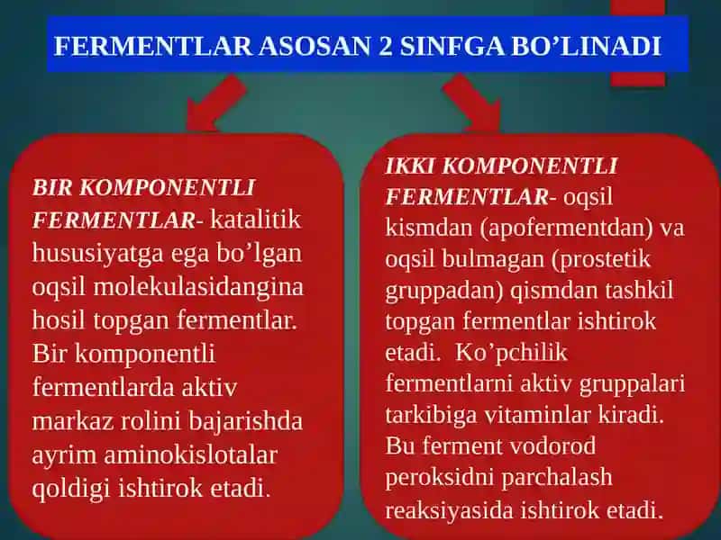 Fermentativ parchalanish jarayonini kuzatish va amilaza faolligini aniqlash 3