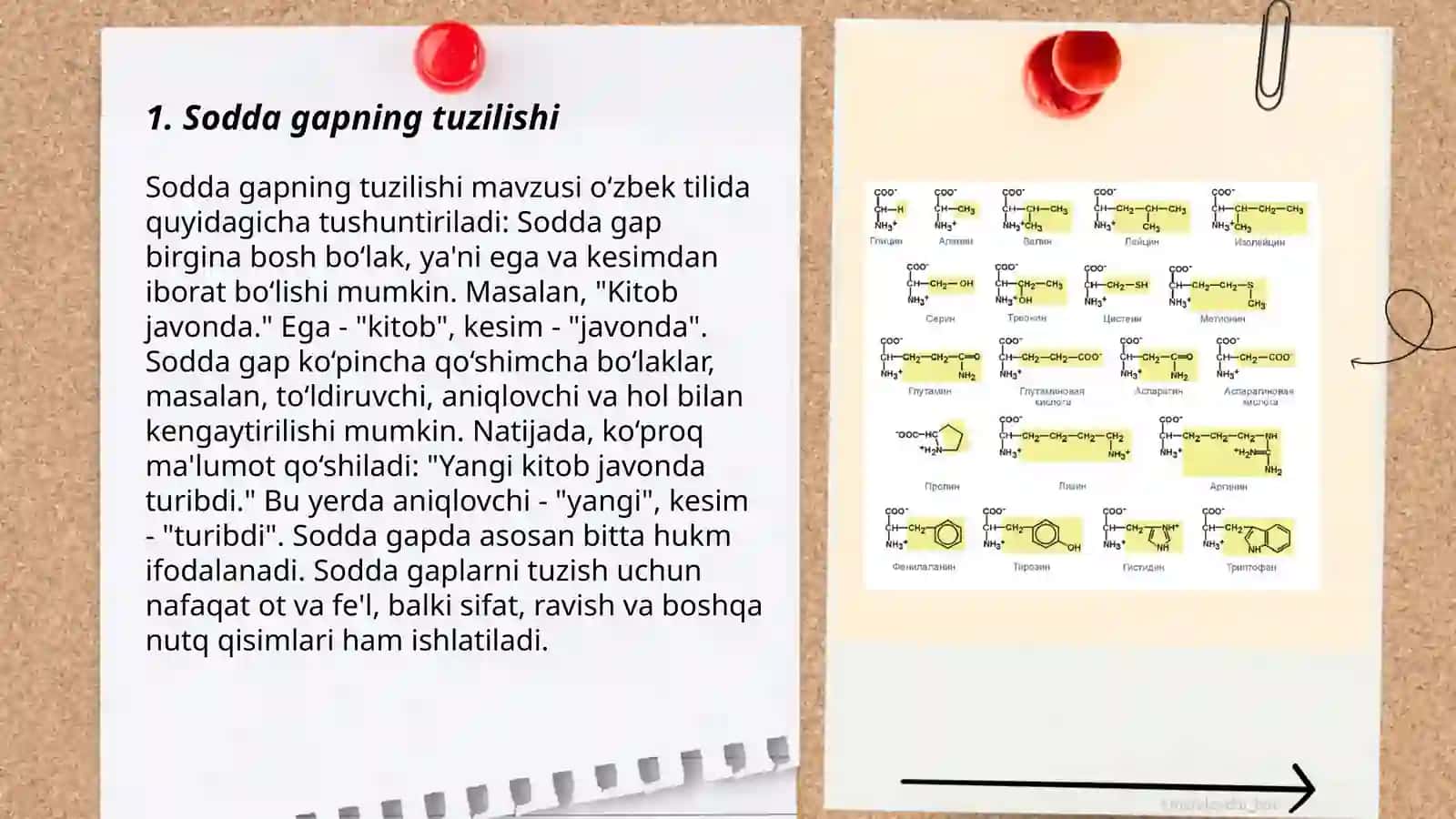 Suyak tuzilishi tarkibi tasnif 3