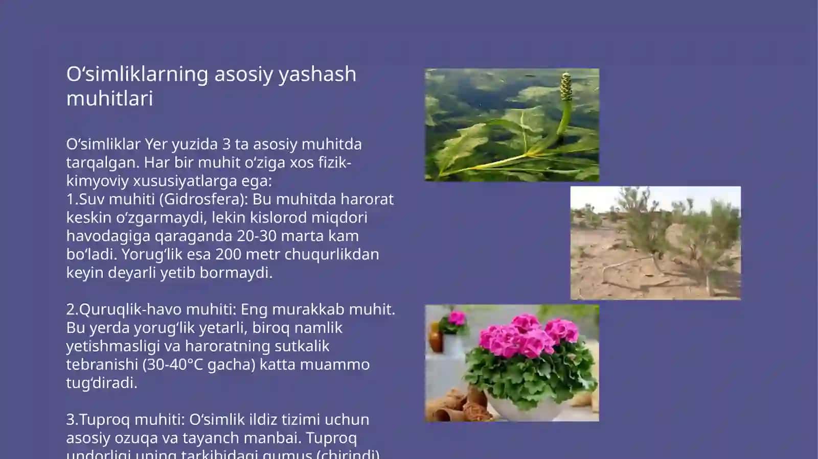 Biotexnologiya yo’nalishi 3
