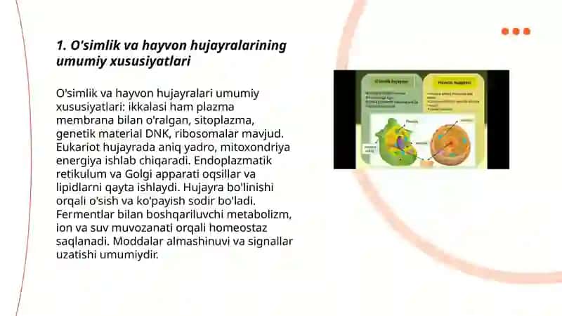 O'simlik va hayvon hujayralar ôxshashligi va farqi 3