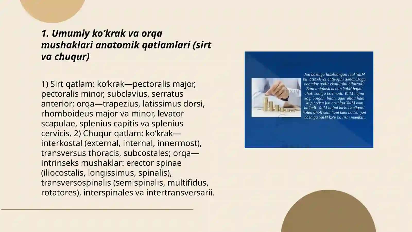 Umumiy koʻkrak va orqa mushaklari anatomik qatlamlari (sirt va chuqur) 3