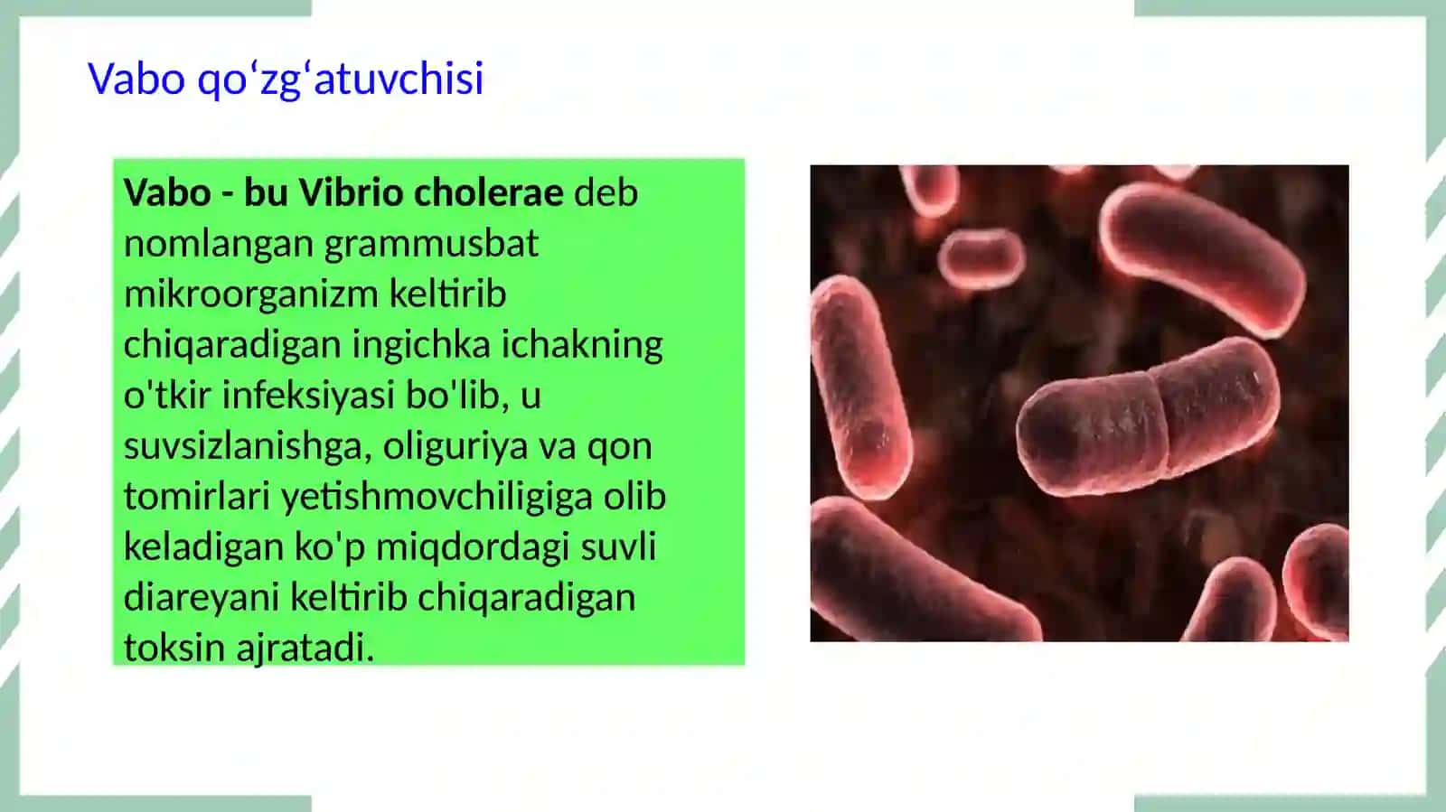 Oʻta xavfli infeksiya vabo oʼlat 3