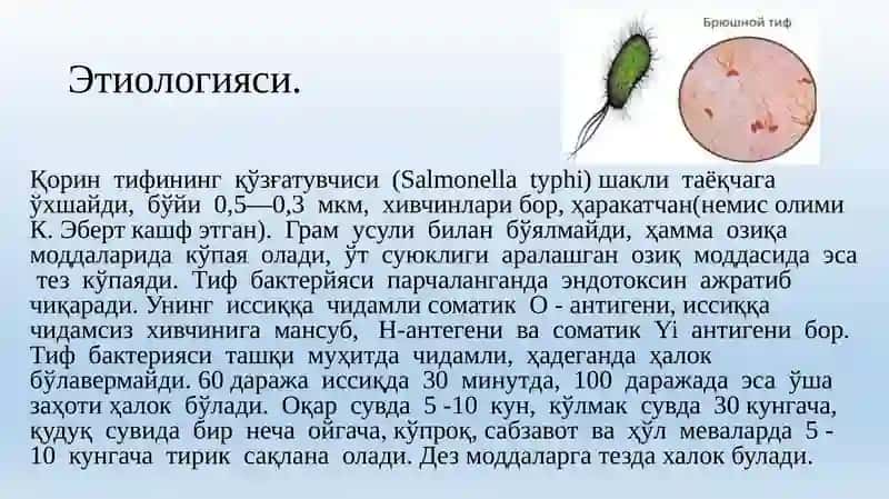 Қоринтифи 3