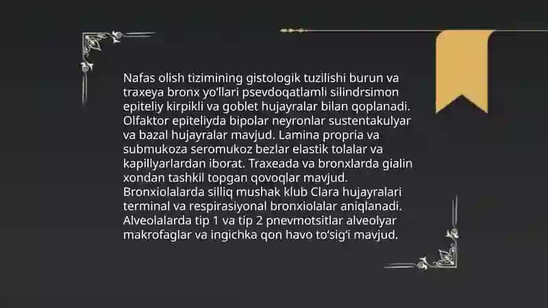 Nafas olish gistologiyasi 3