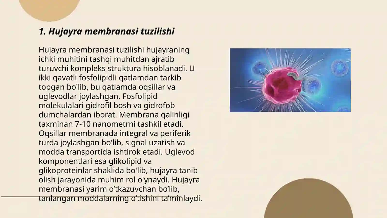 Hujayra membransida biopatensiallarning hosil bòlishi 3