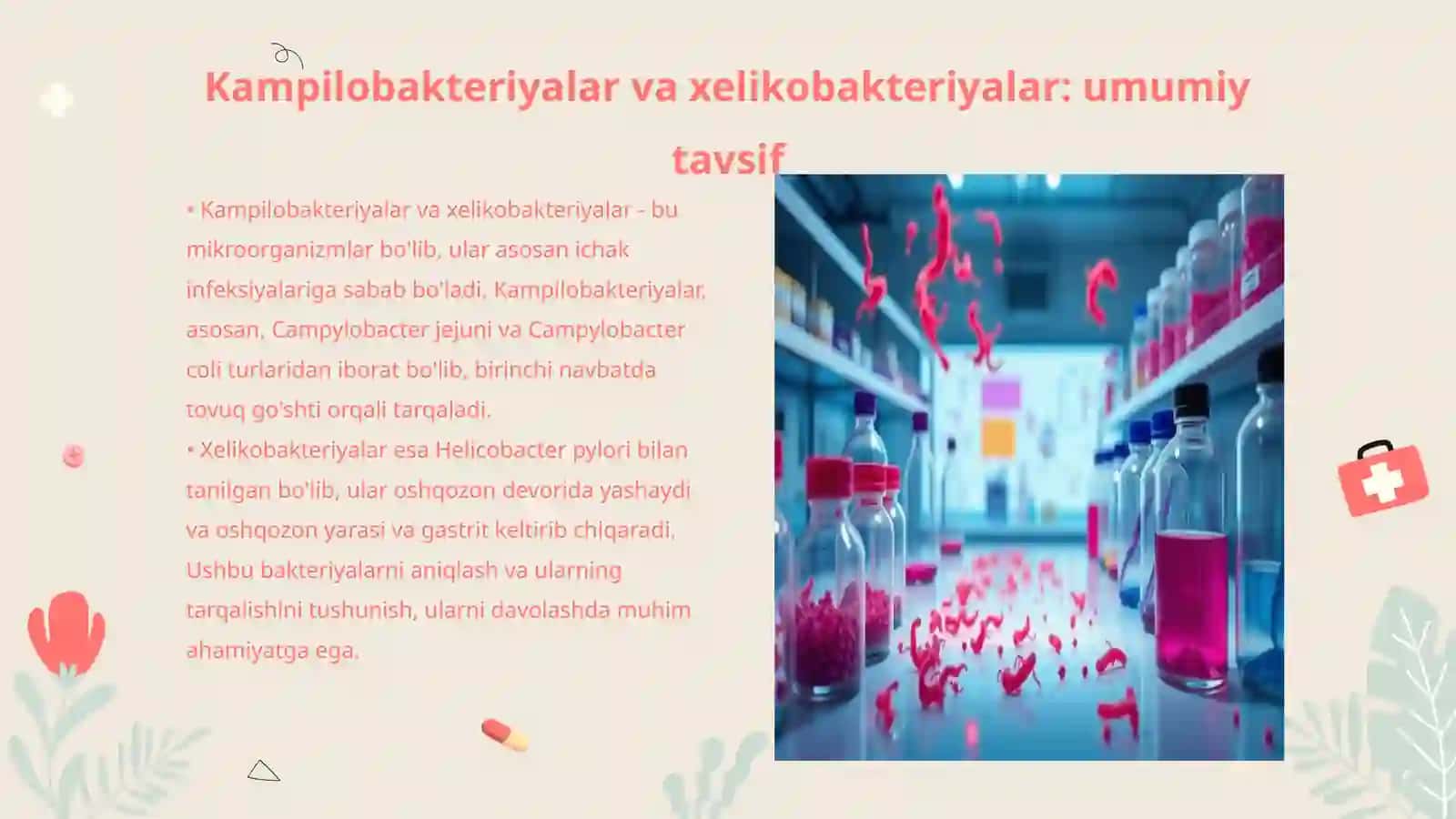Kampilobakteriyalar va Xelikobakteriyalar 3