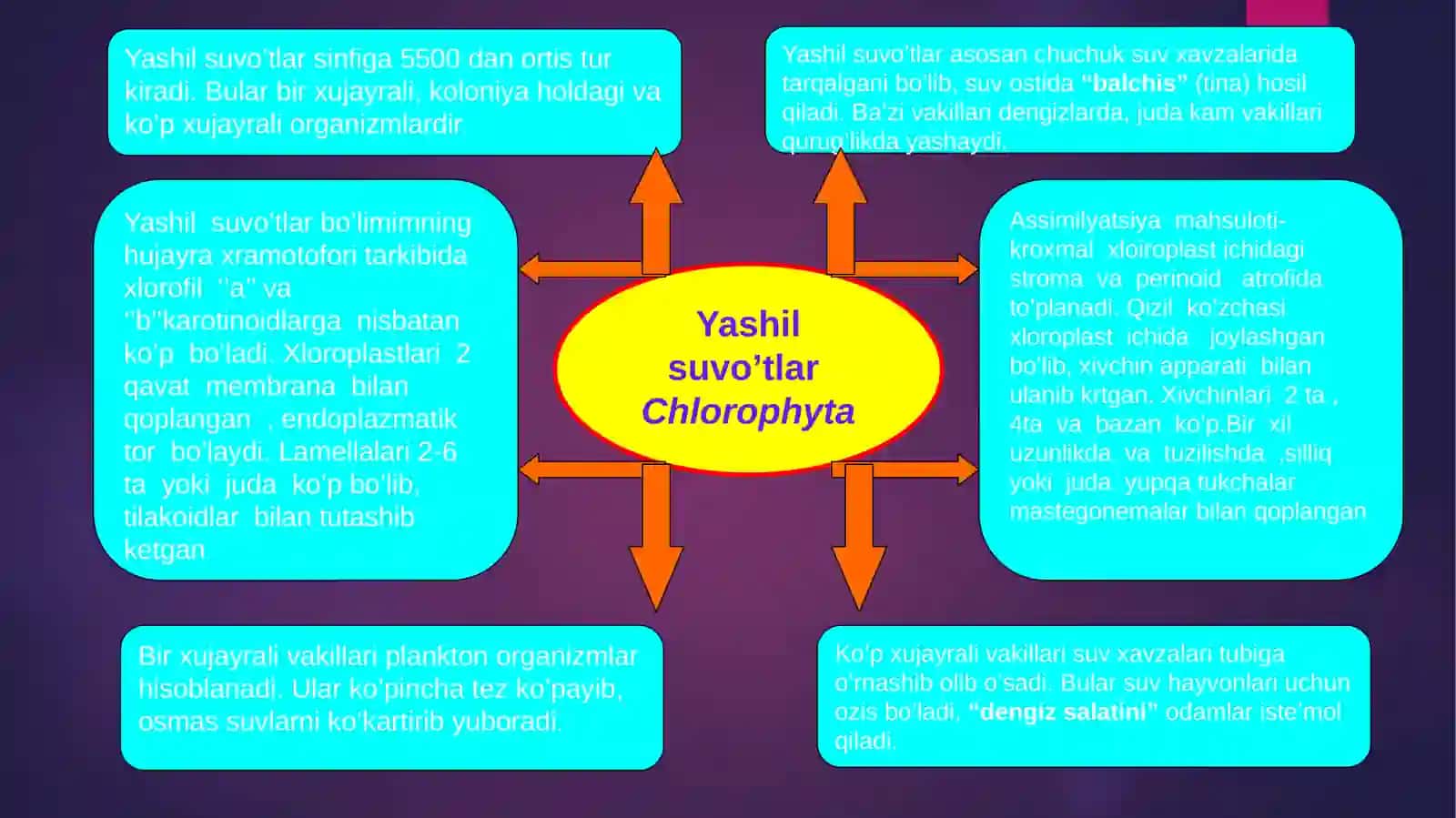 Shero va Charosning Botanikasi Presentatsiyasi 3