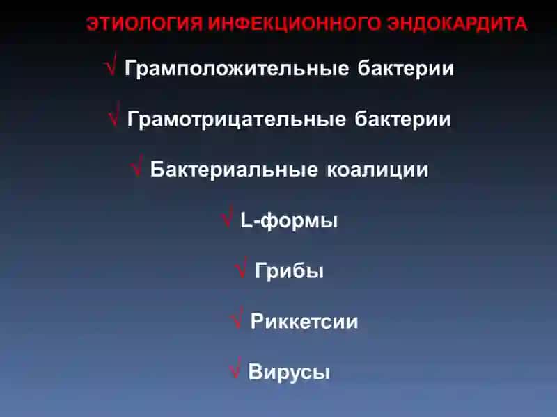 ИНФЕКЦИОННЫЙ ЭНДОКАРДИТ 3