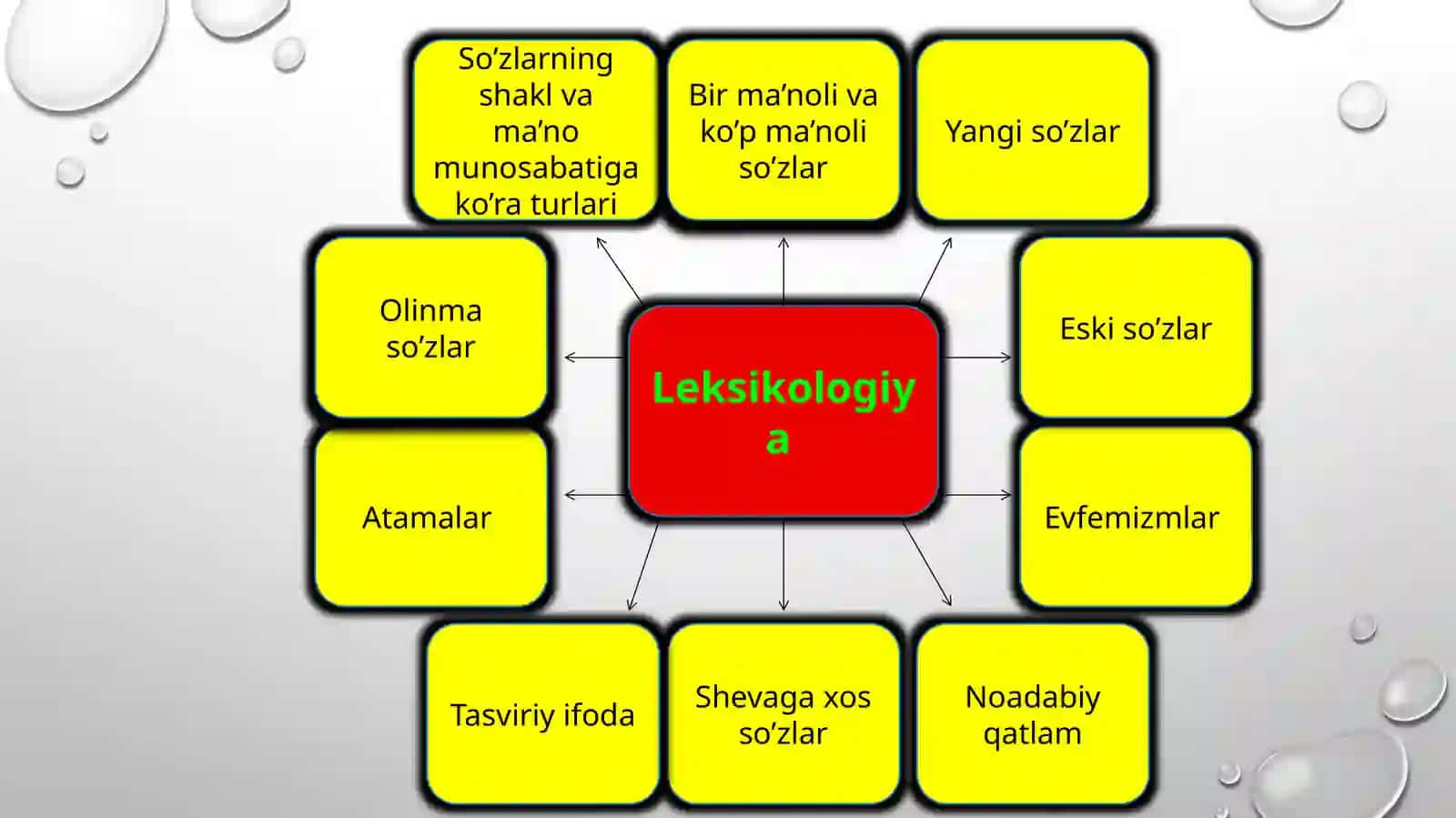 Leksikologiya 3