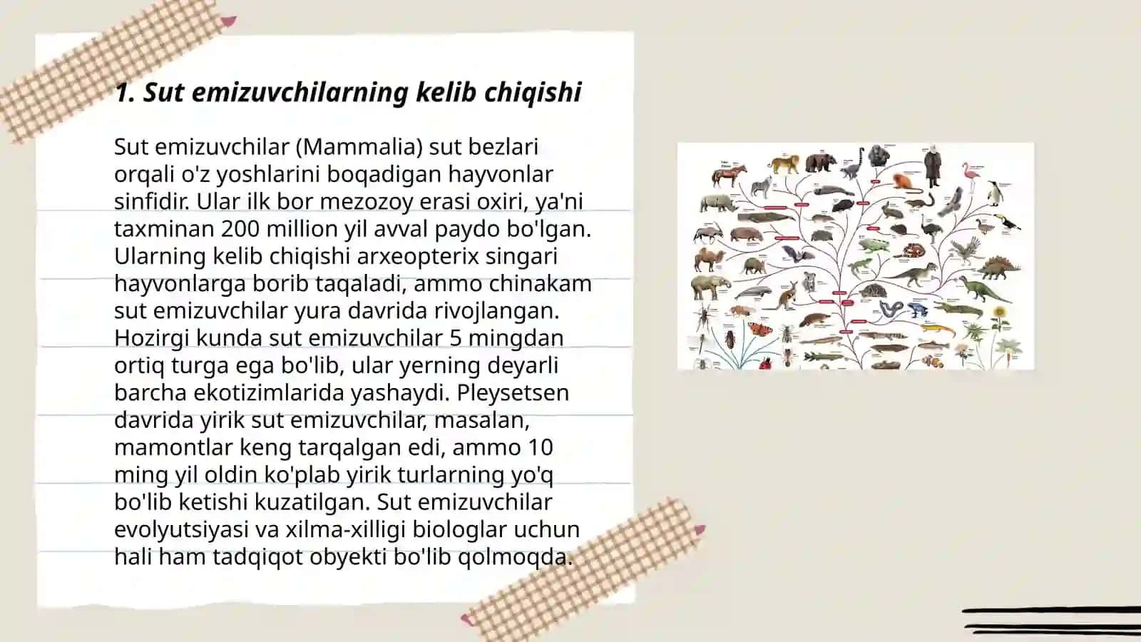 Sut emizuvchilarning kelib chiqishi va evolutsiyasi 3