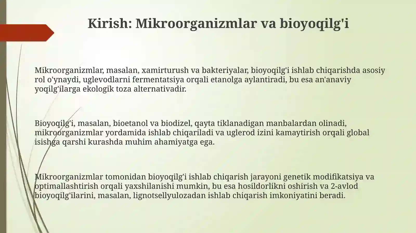 Mikroorganizm yordamida bioyoqilĝi olish 3