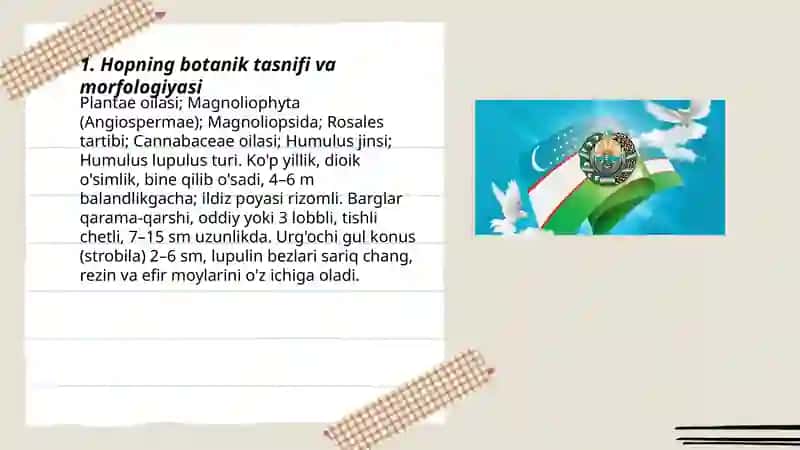 Hopning botanik tasnifi va morfologiyasi 3