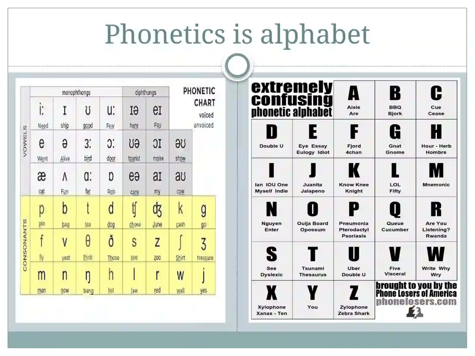 Phonetics and Phonology 3