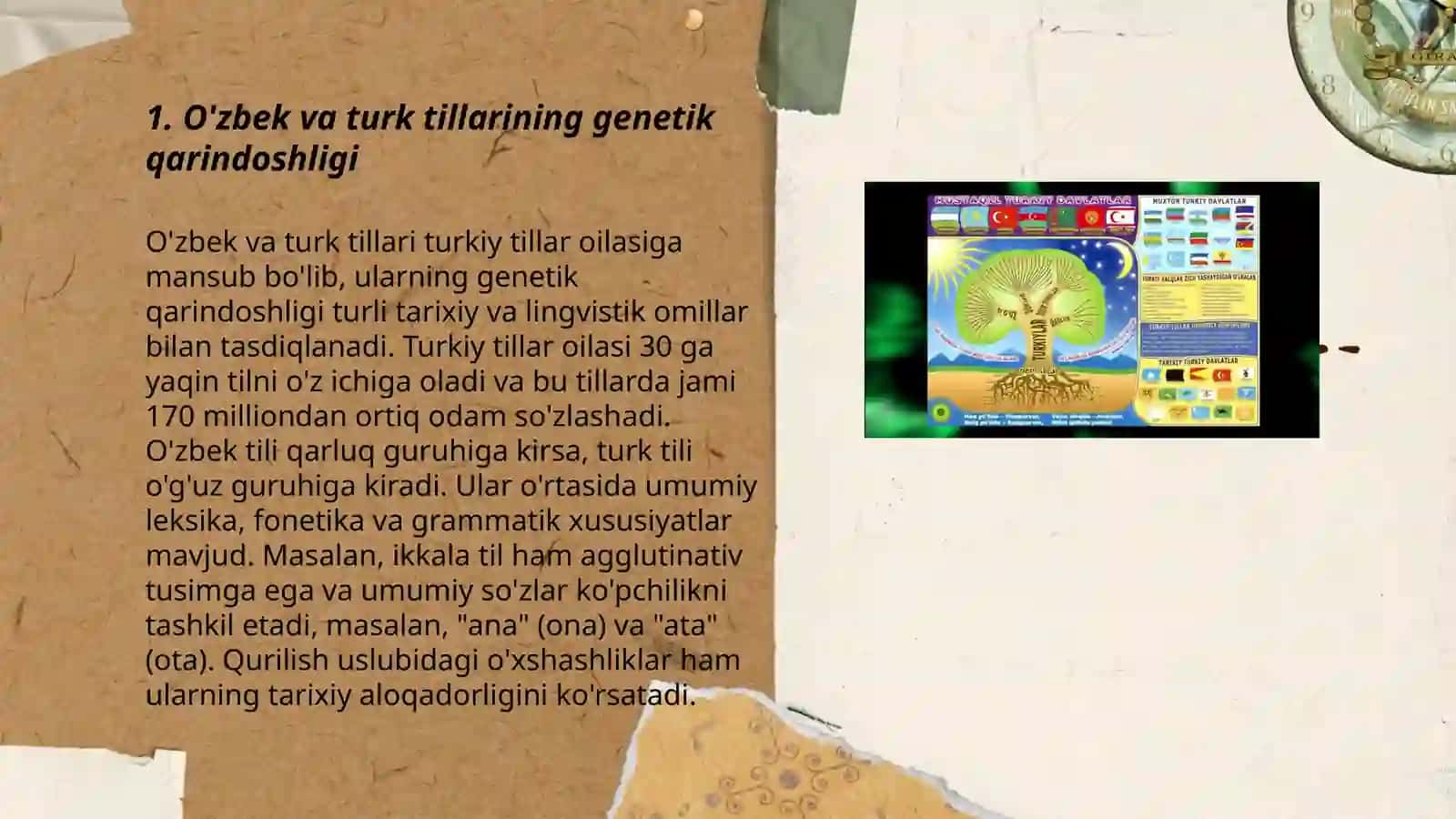 O'zbek va turk tillarining genetik qarindoshligi 3