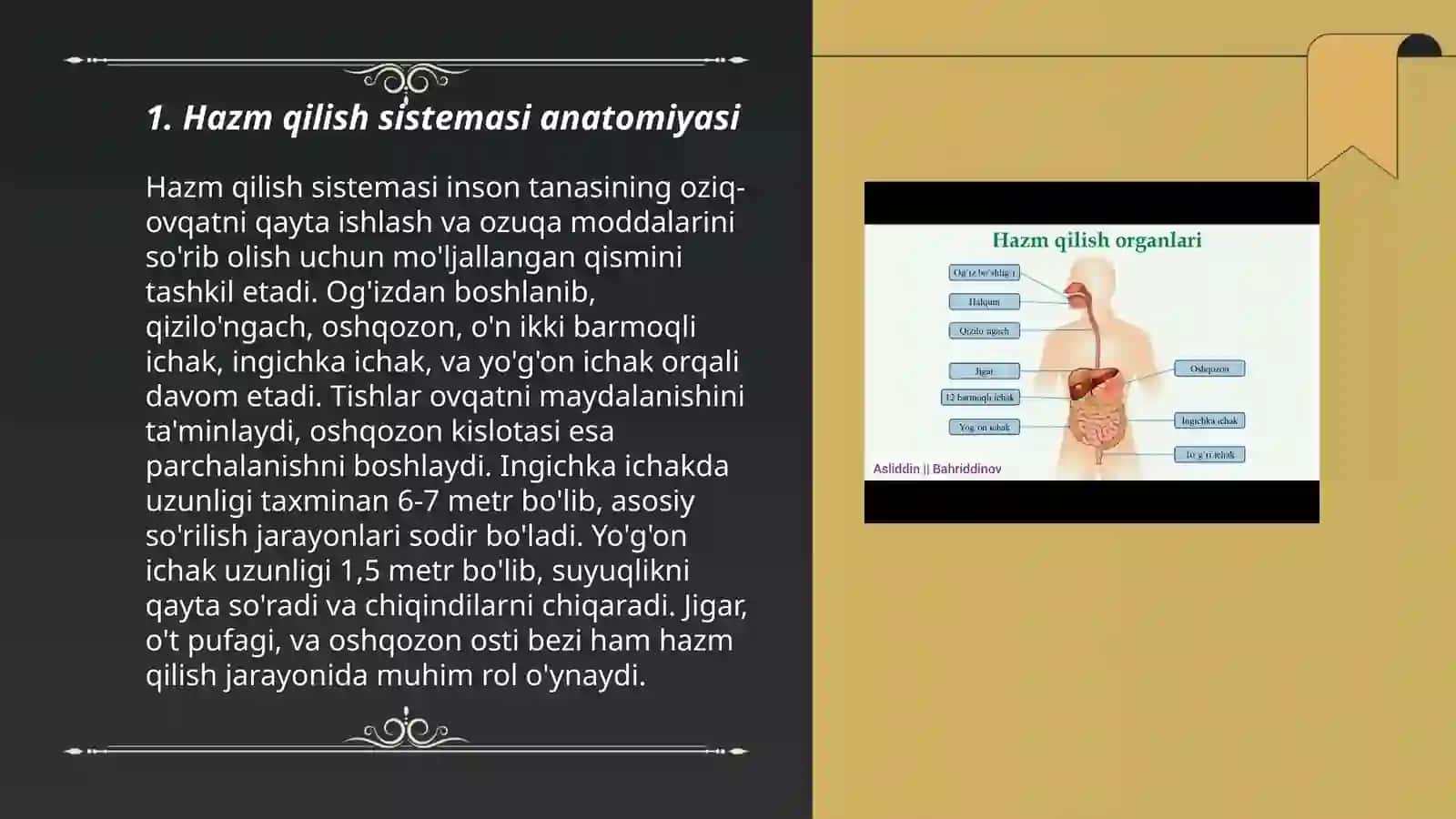 Hazm qilish sistemasi fiziologiyasi 3