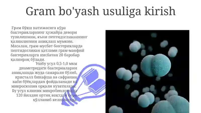 Bakteriyalarni Gramm usulida bo‘yash va differensatsiya qilish 3