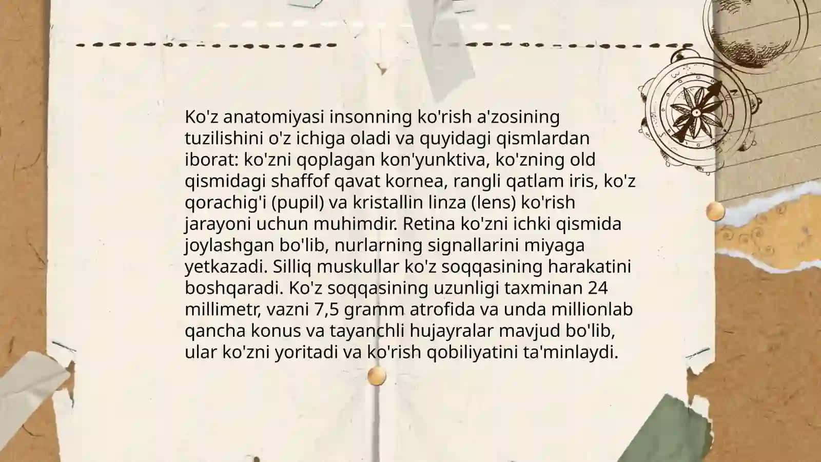 Ko'z anatomiyasi 3