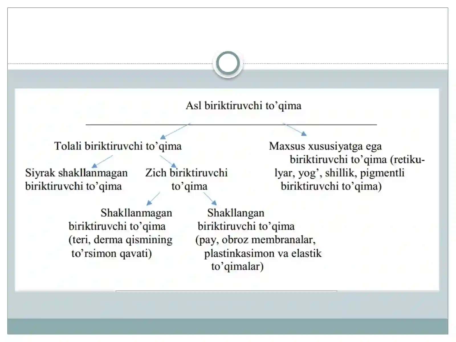 Biriktiruvchi to’qimaning oraliq moddasi. Amorf modda va tolalar 3