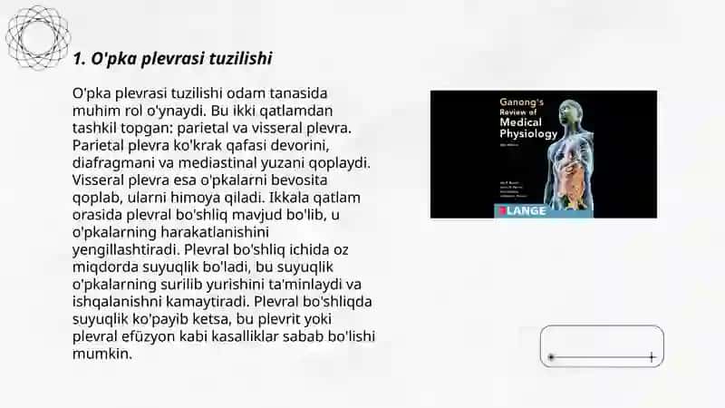 O’pka va plevra parda anatomiyasi va fiziologiyasi 3
