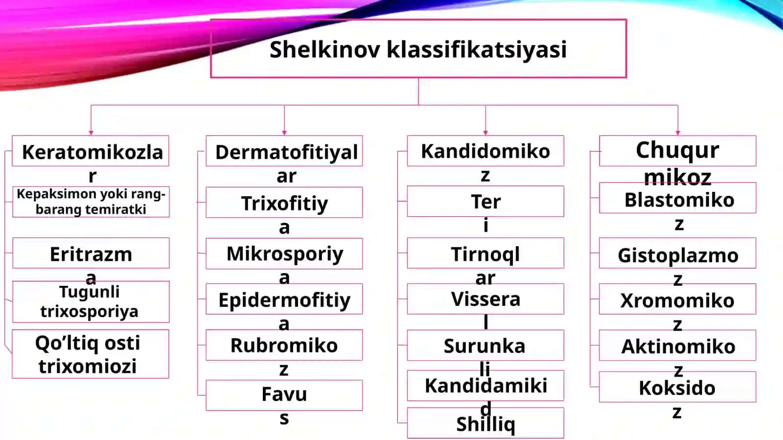 Terining zamburug'li kasalliklari 3