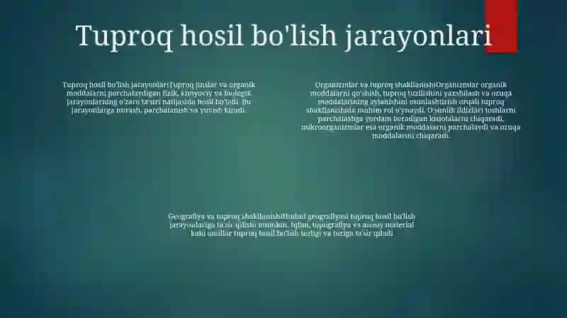 Organizmlar Va Tuproq Hosil BoʻLishi Hamda Geografiyasi 3