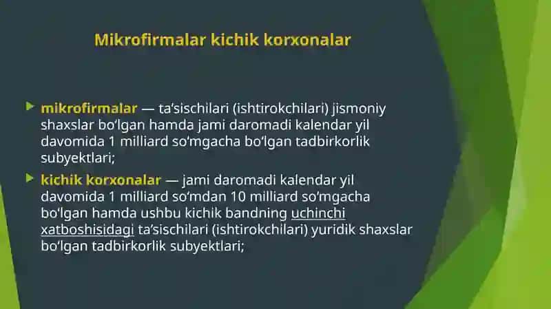 Biznes subyektlariga soliq solish 3