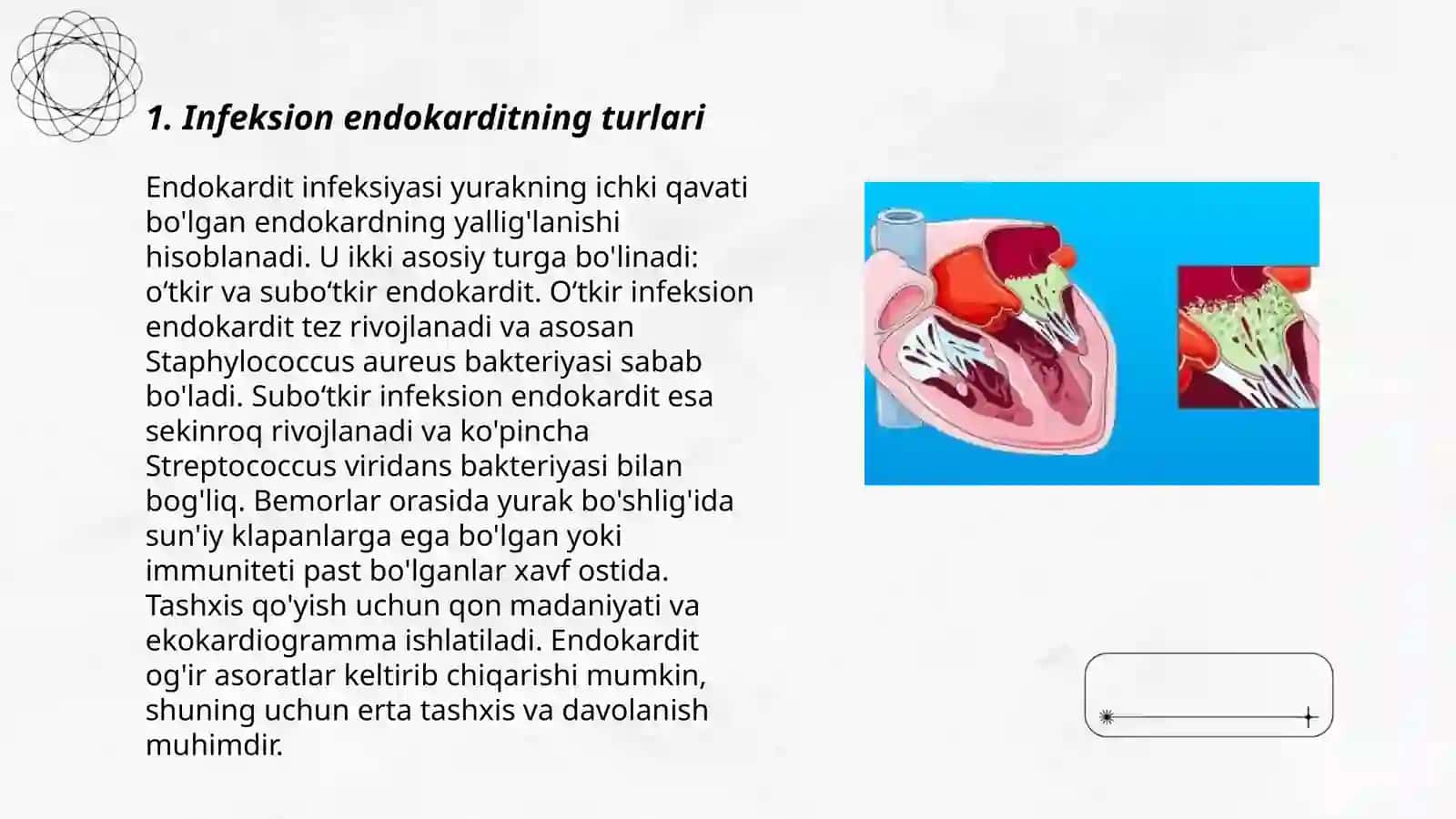 Infeksion endokardit 3