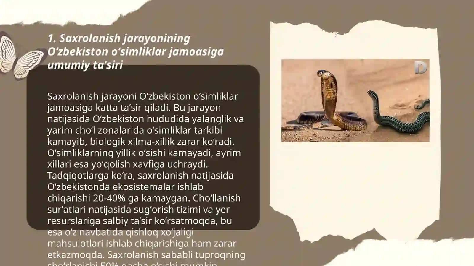 Saxrolanishning Oʻzbekiston oʻsimliklar jamoasiga taʼsiri 3