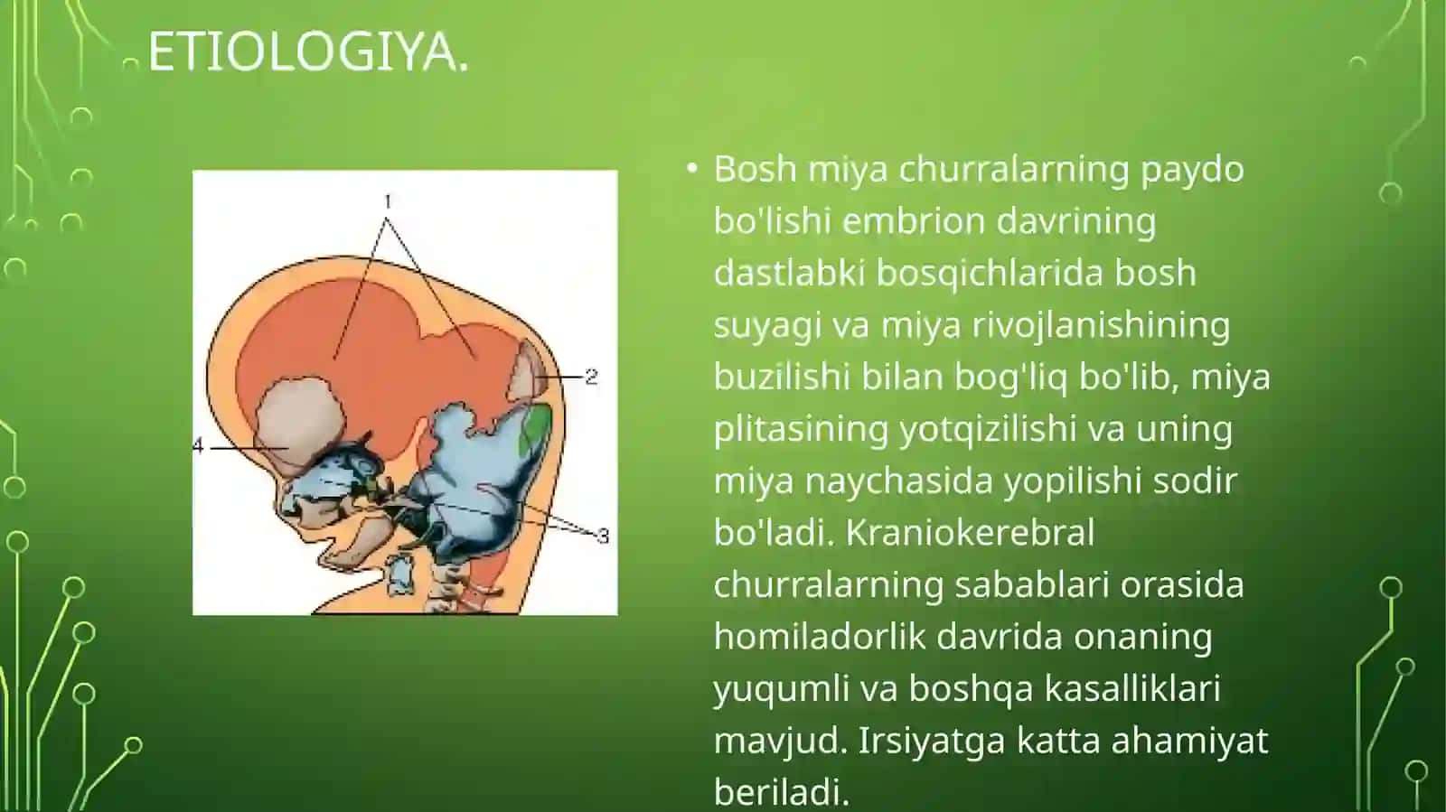 TUG'MA NUQSONLAR. BOLALARDAMIYACHURRASIVA YURAKNUQSONLARI 3