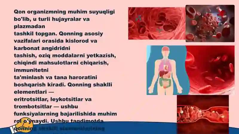 Qonning shaklli elementlari 3