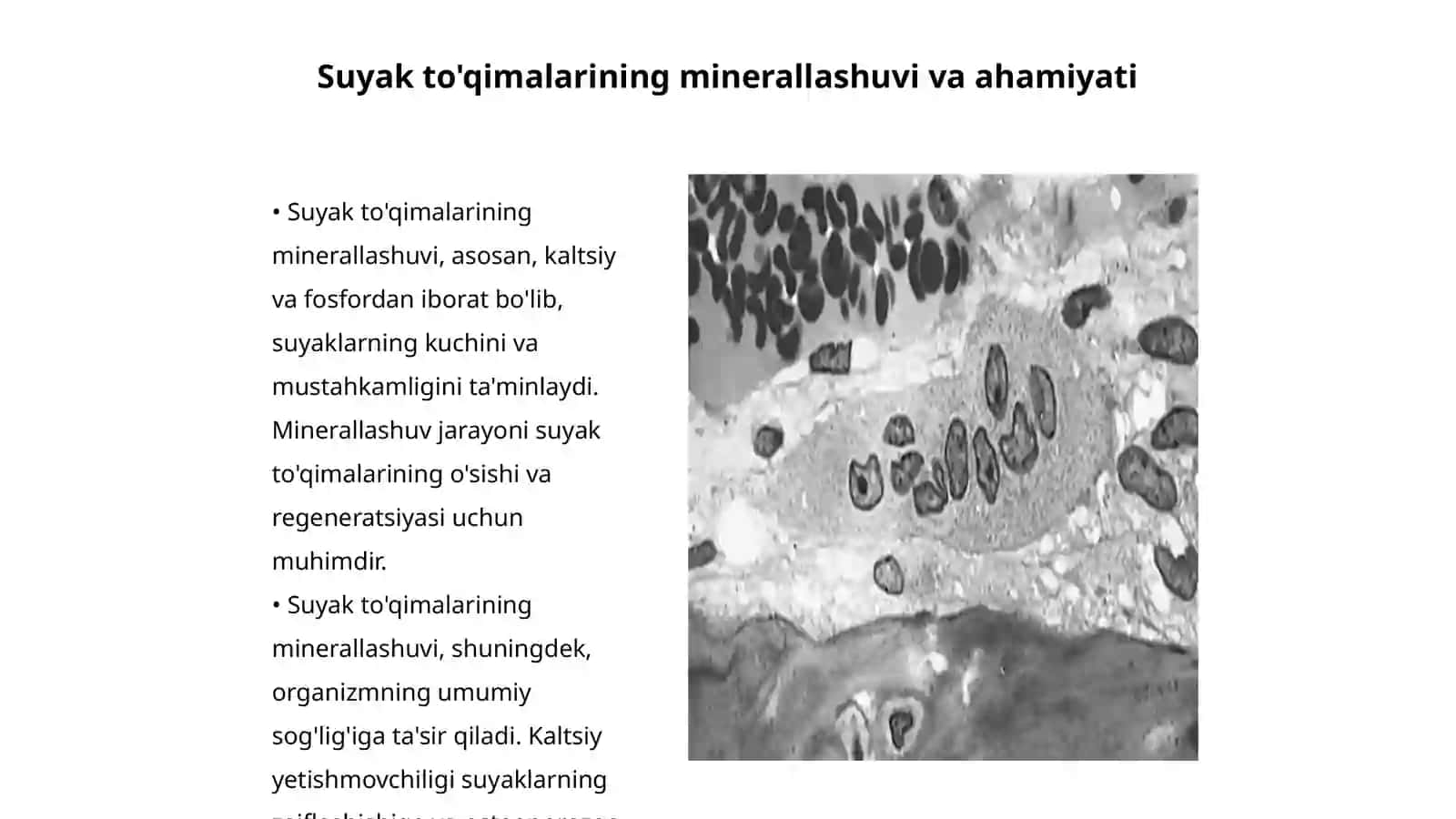 Suyak to'qimalarining minerallashuvi va buzilishlari 3