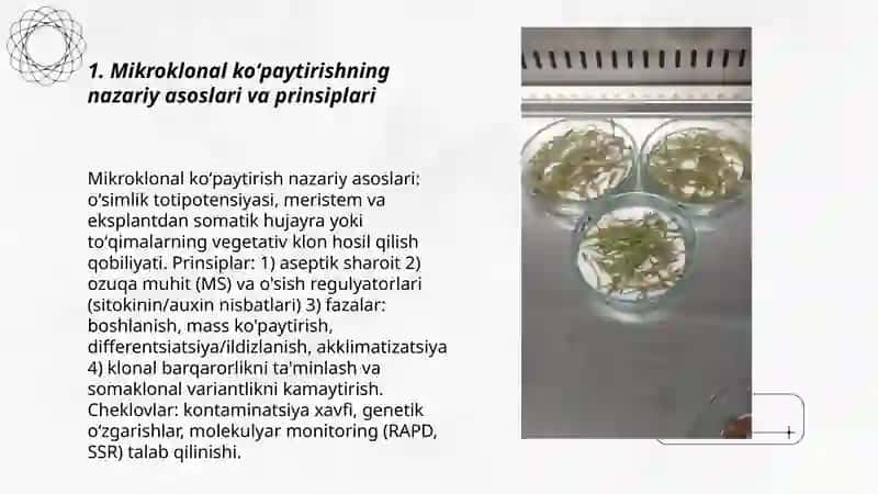 Bug’doy oʻsimlikgini mikroklonal koʻpaytirish usuli va uni foyda va zarari 3