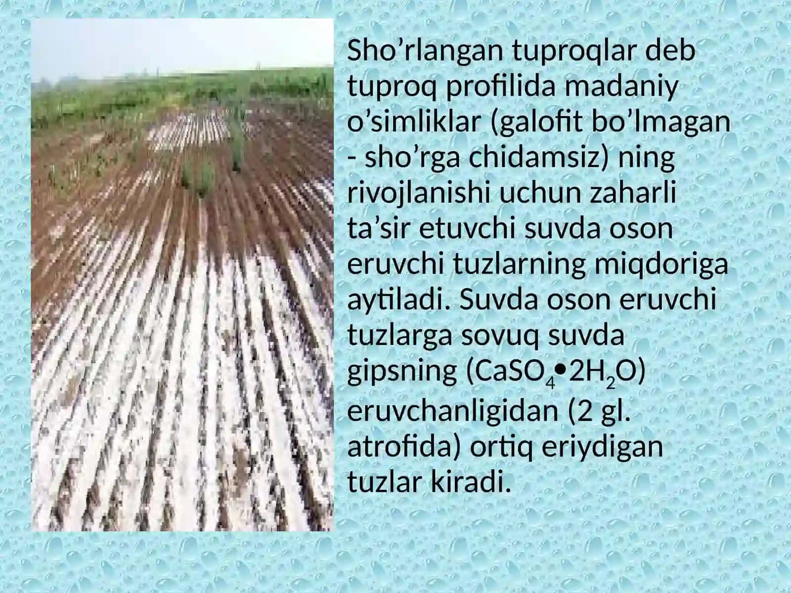 Tuproqsho'rlanishi.Sho'rxoklarnasho'rtoblar 3