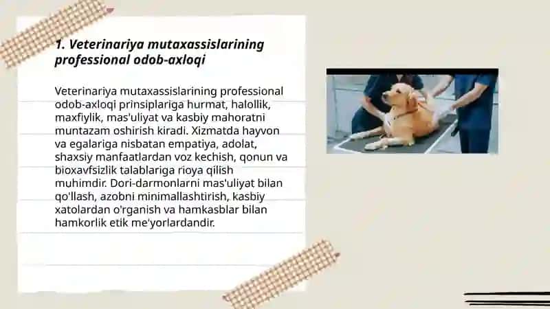 Veterinariya mutaxassislarini ishlash madaniyati va etikasi 3