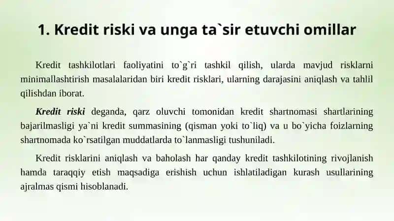 Kredit riski 3
