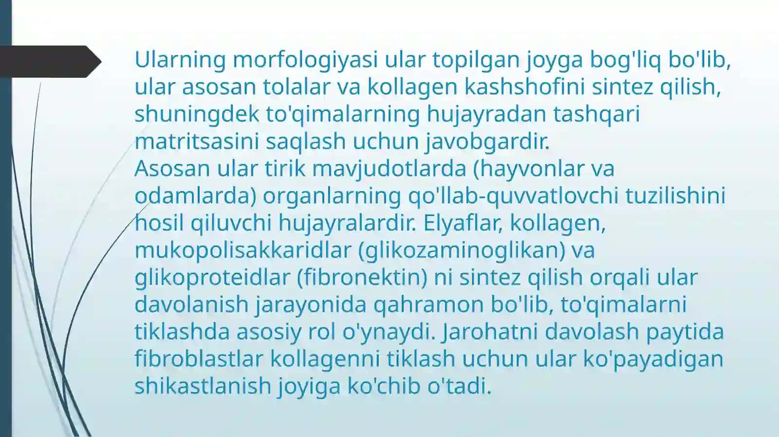 FIBROBLASTLARNING JAROHATNING BITISHI VA CHANDIQ HOSIL BO’LISHIDAGI ROLI 3