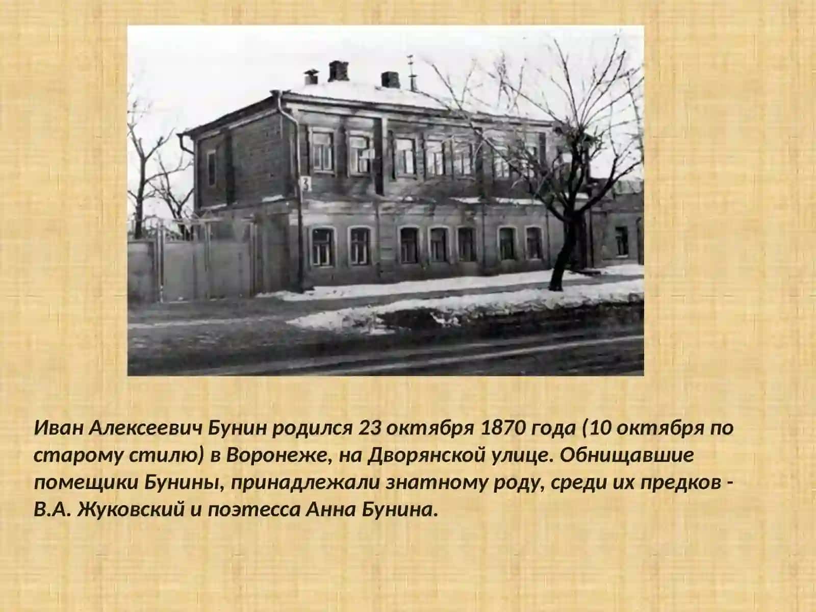 И.А.БунинТеньптицы 3