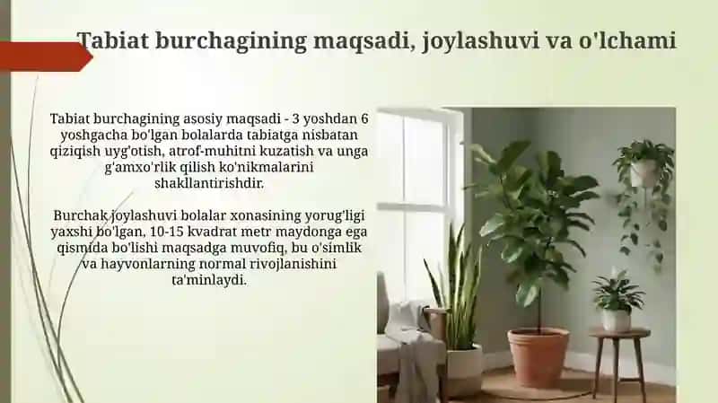 MTT larda tabiat burchagini tashkil etish metodlarini yoritish 3