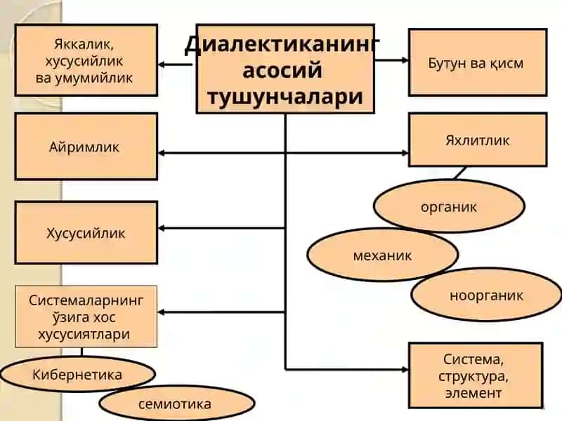 Ўзароалўкадорлик ва ривожланиш қонунлари 3