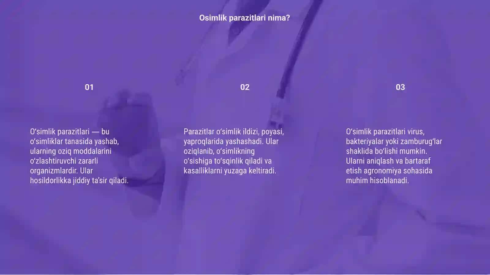 Osimlik parazitlari 3