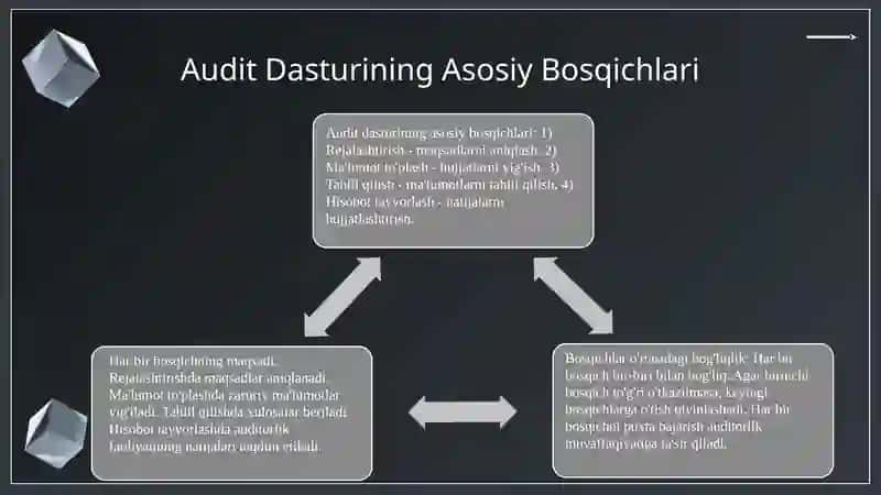 Audit Dasturi 3